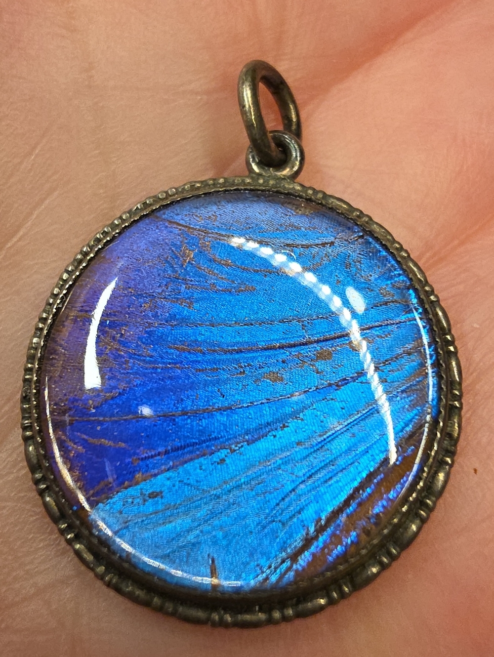 Early 20th Century Sterling Silver Blue Morpho Butterfly Wing Pendant